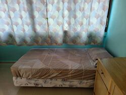 Pandan Valley (D21), Condominium #497129961